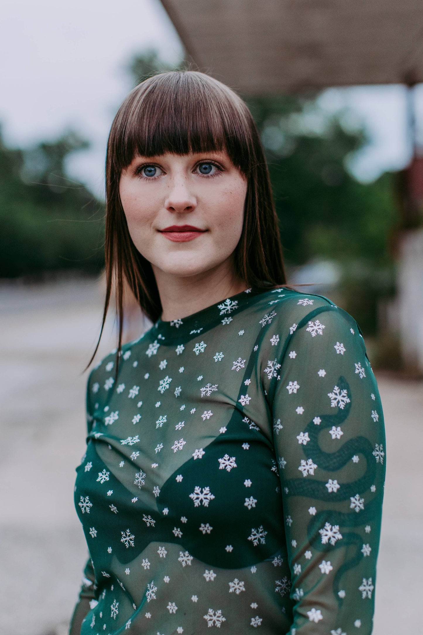 Sparkle Snowflake Mesh Top: Green